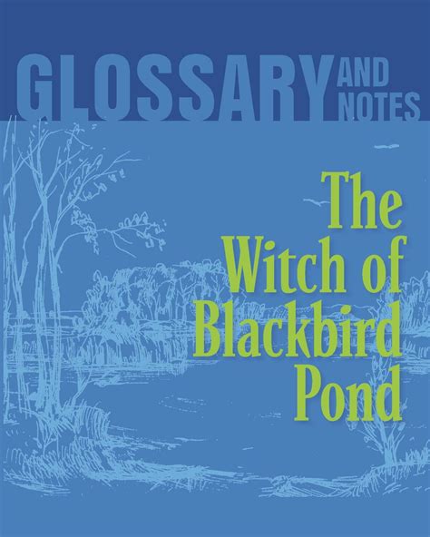 Sparknotes quotes from The Witch of Blackbird Pond